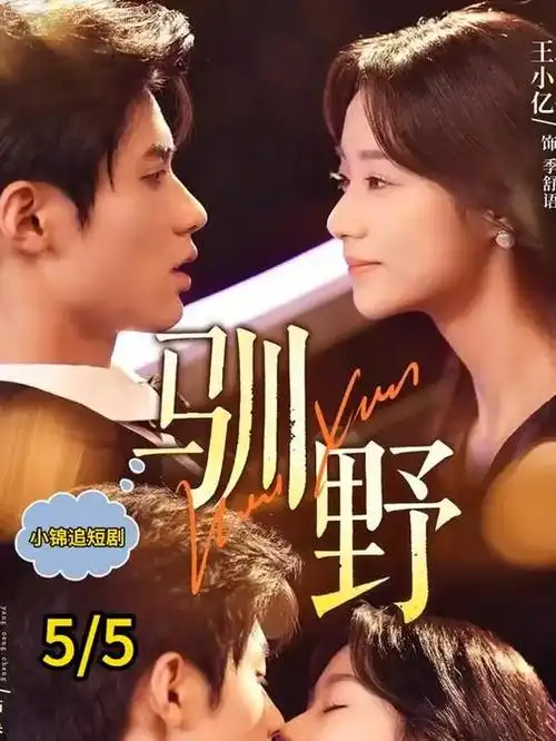 归零的春天剧集海报
